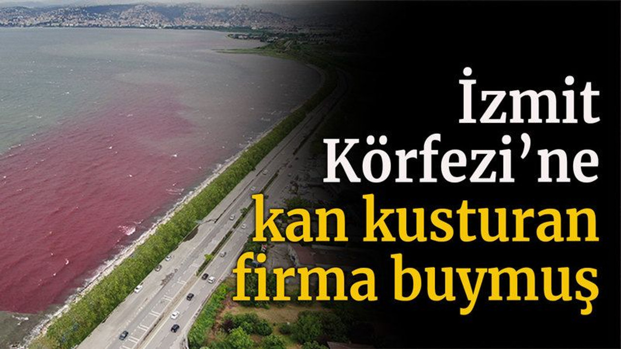 İzmit Körfezi’ne kan kusturan firma buymuş